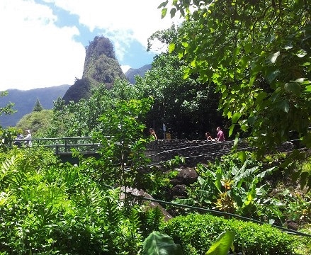 Iao Needle walkways